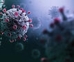 Virus